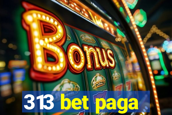 313 bet paga